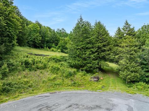 L28.2 Deer Lane Prattsville NY 12452