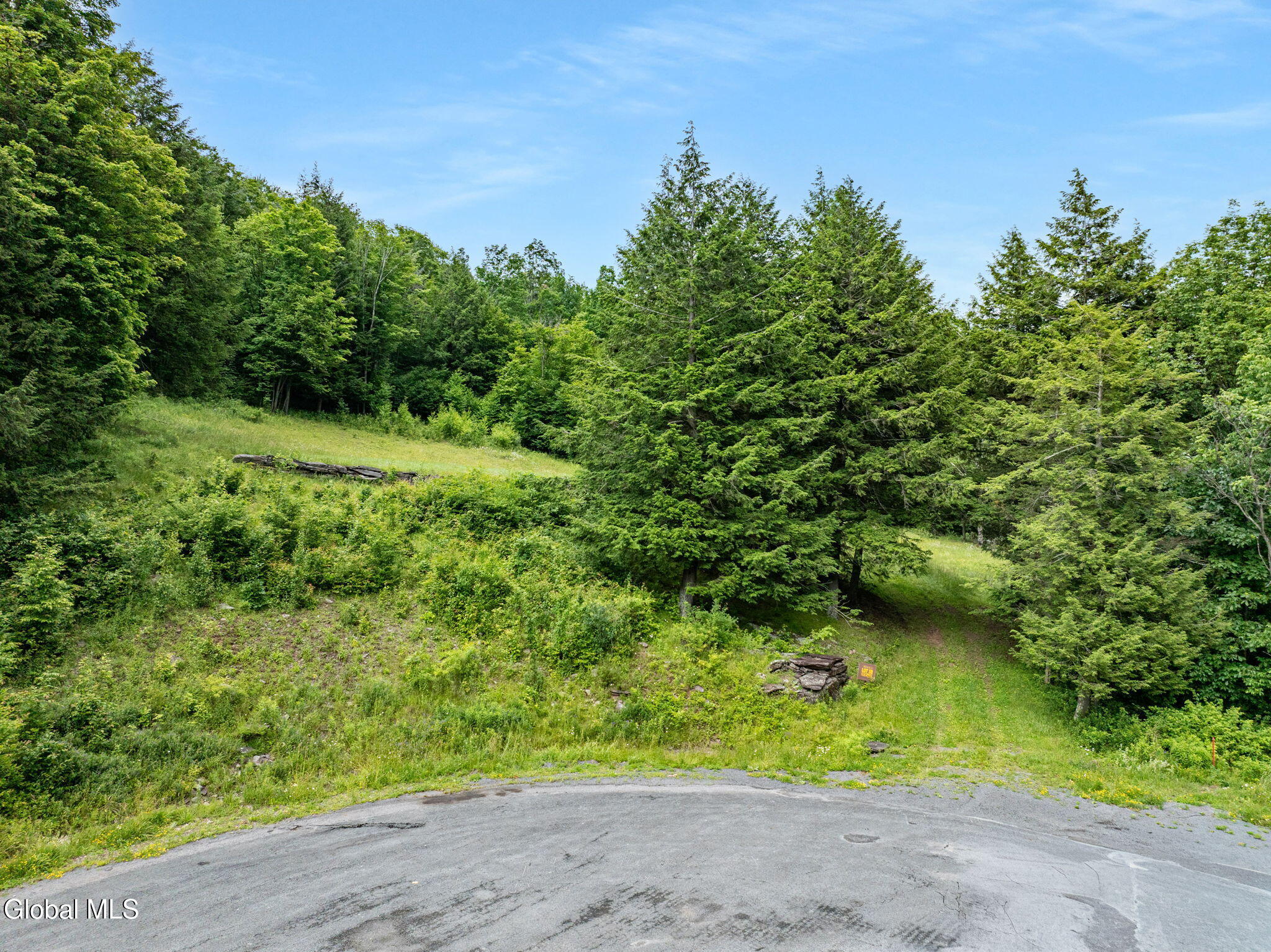 L28.2 Deer Lane Prattsville NY 12452