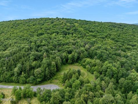 L28.2 Deer Lane Prattsville NY 12452