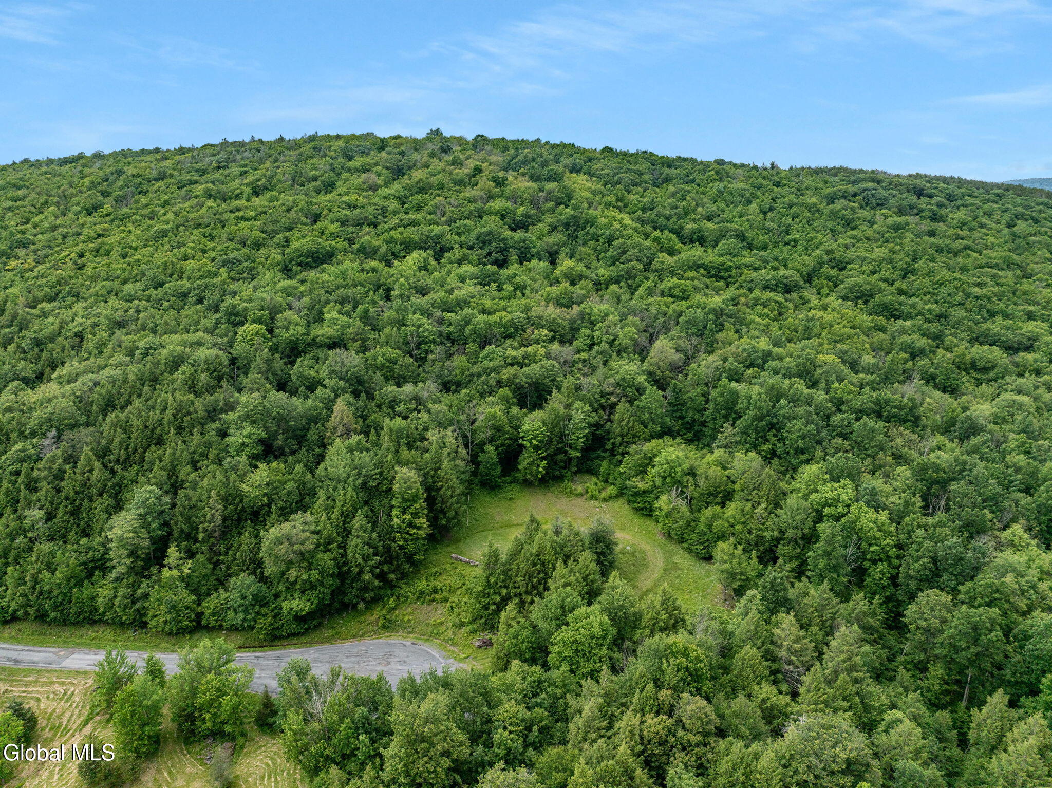 L28.2 Deer Lane Prattsville NY 12452