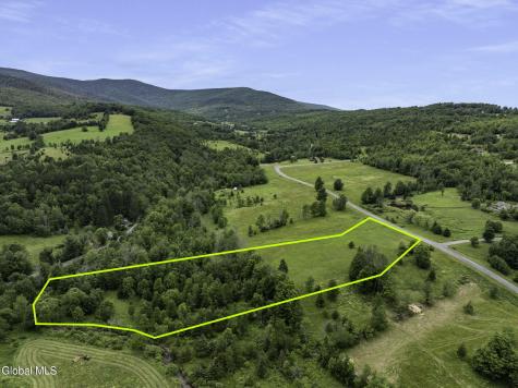 L31 Deer Lane Prattsville NY 12452