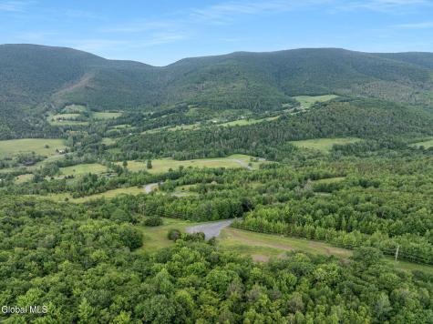 L31 Deer Lane Prattsville NY 12452