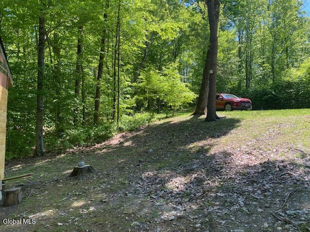 45 Weaver Dam Road Petersburgh NY 12138