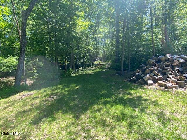 45 Weaver Dam Road Petersburgh NY 12138