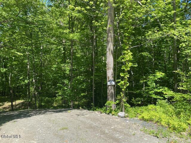 45 Weaver Dam Road Petersburgh NY 12138
