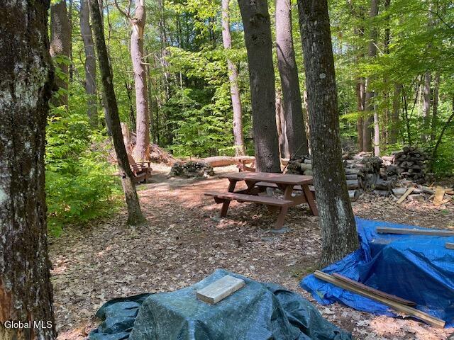 45 Weaver Dam Road Petersburgh NY 12138