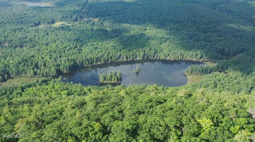 114 Mountain Path North Creek NY 12853