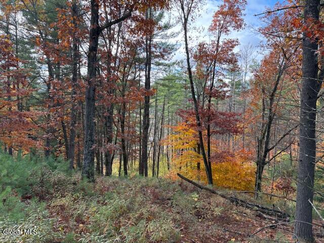 954B Route 9n Ausable Forks NY 12912