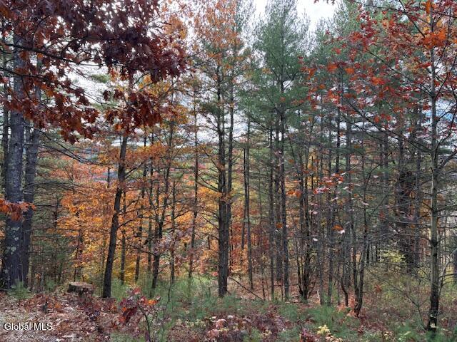 954B Route 9n Ausable Forks NY 12912
