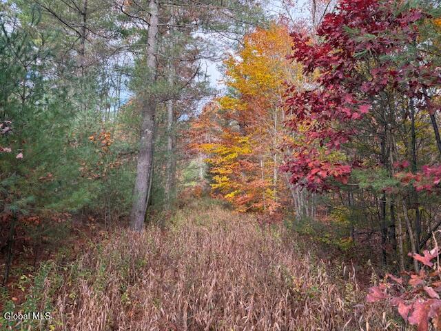 954B Route 9n Ausable Forks NY 12912