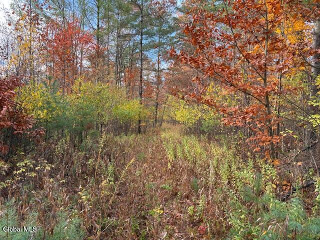 954B Route 9n Ausable Forks NY 12912