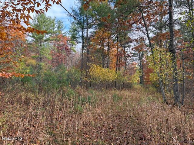 954B Route 9n Ausable Forks NY 12912