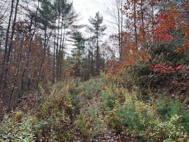 954B Route 9n Ausable Forks NY 12912