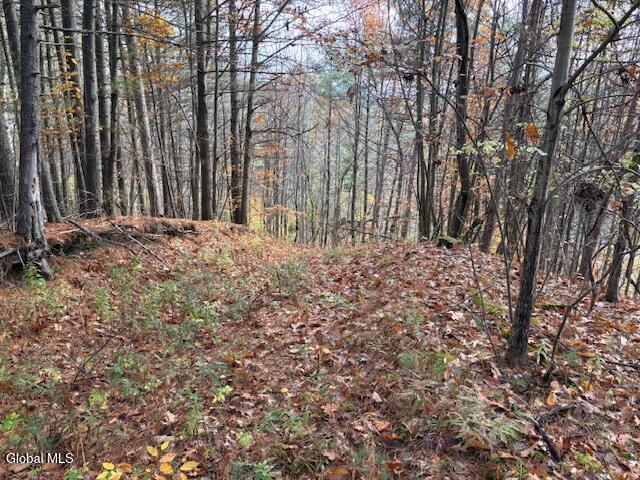 954B Route 9n Ausable Forks NY 12912