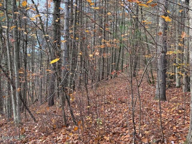 954B Route 9n Ausable Forks NY 12912