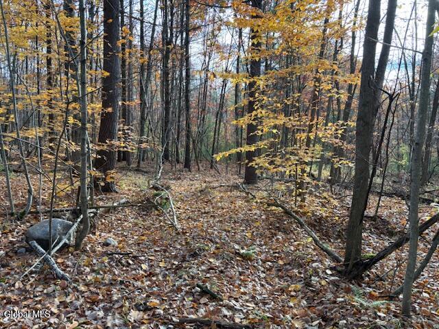 954B Route 9n Ausable Forks NY 12912