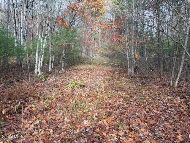 954B Route 9n Ausable Forks NY 12912