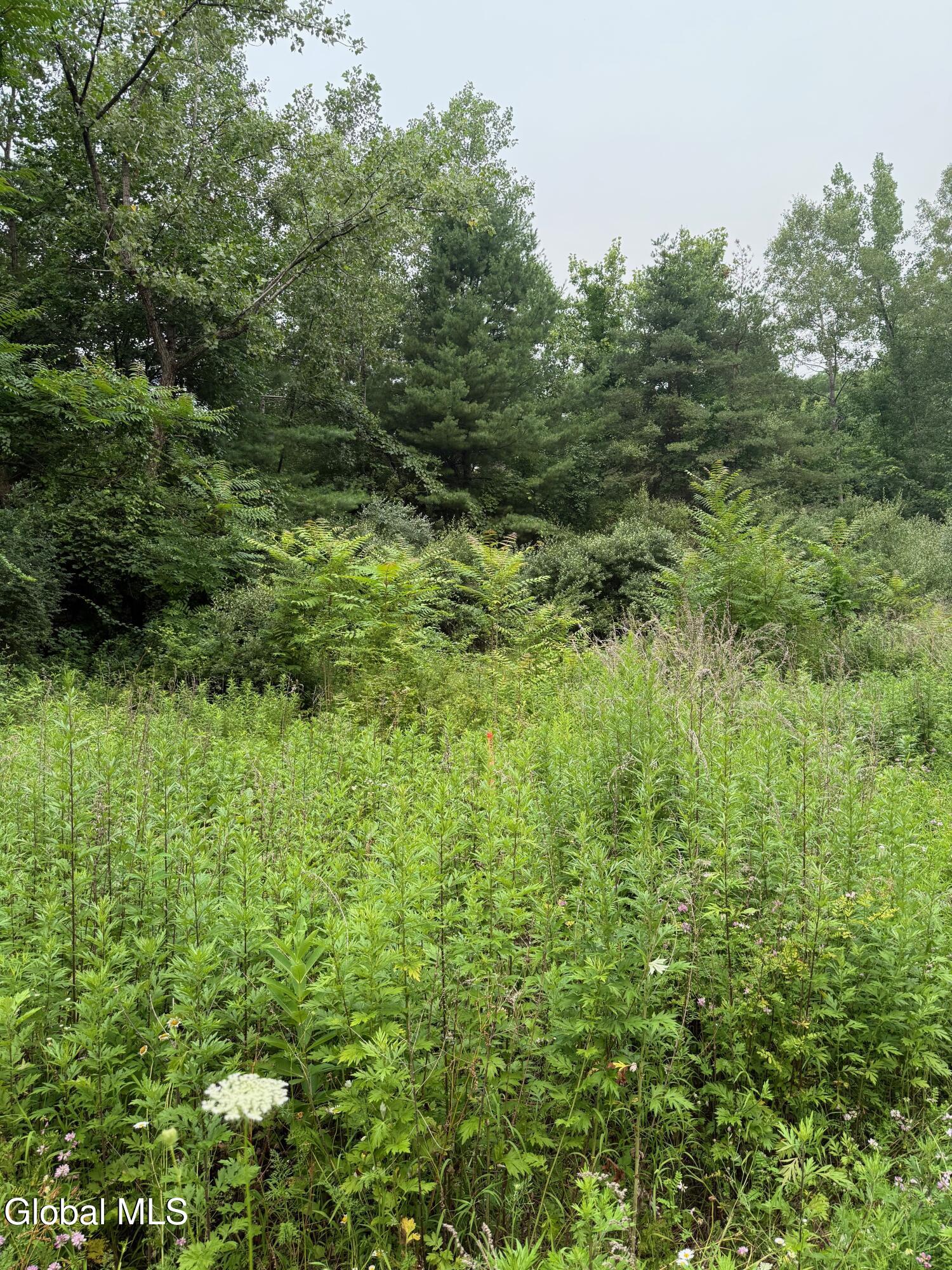 48 Spring Landing Boulevard Wynantskill NY 12198