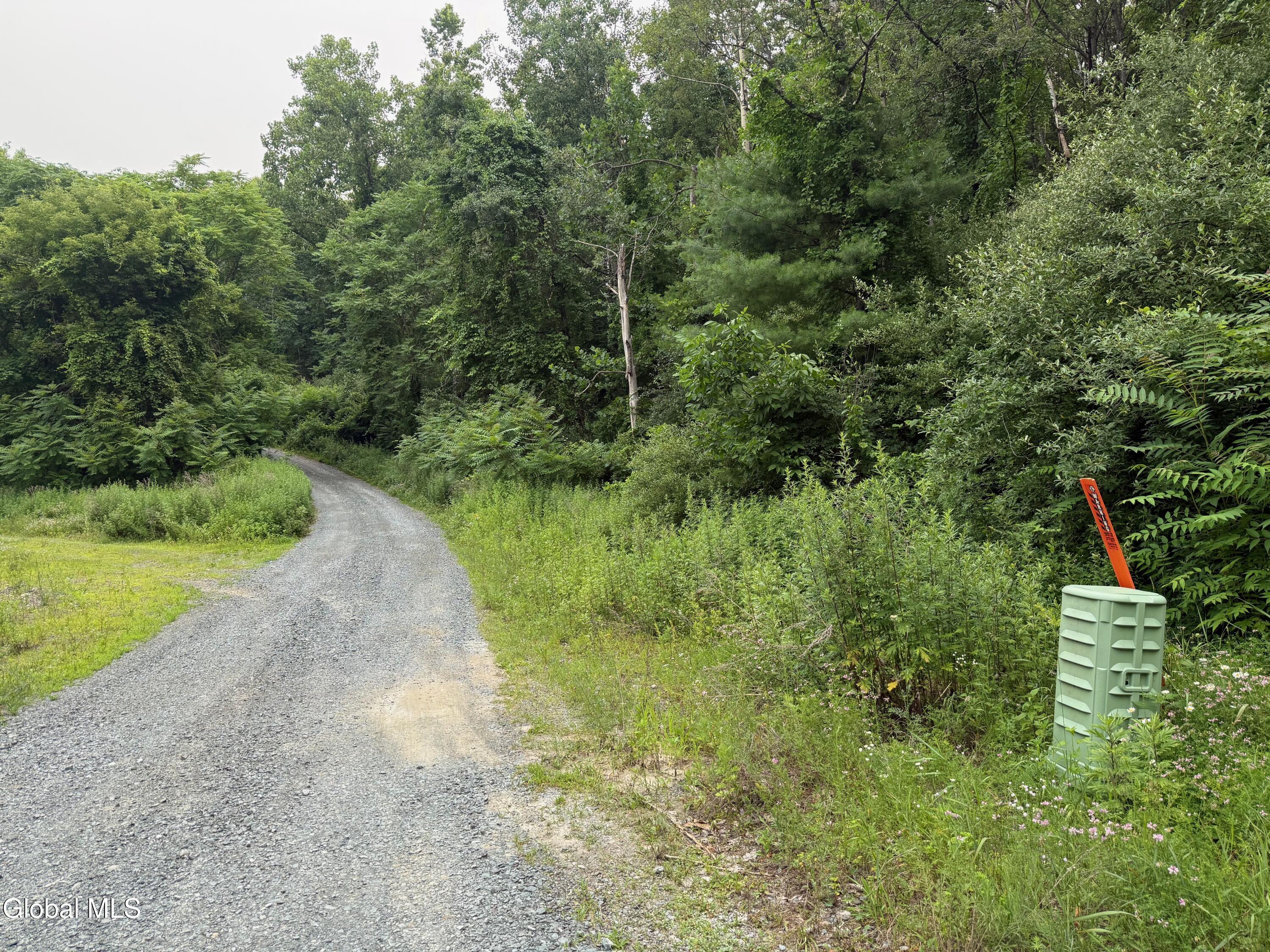 48 Spring Landing Boulevard Wynantskill NY 12198