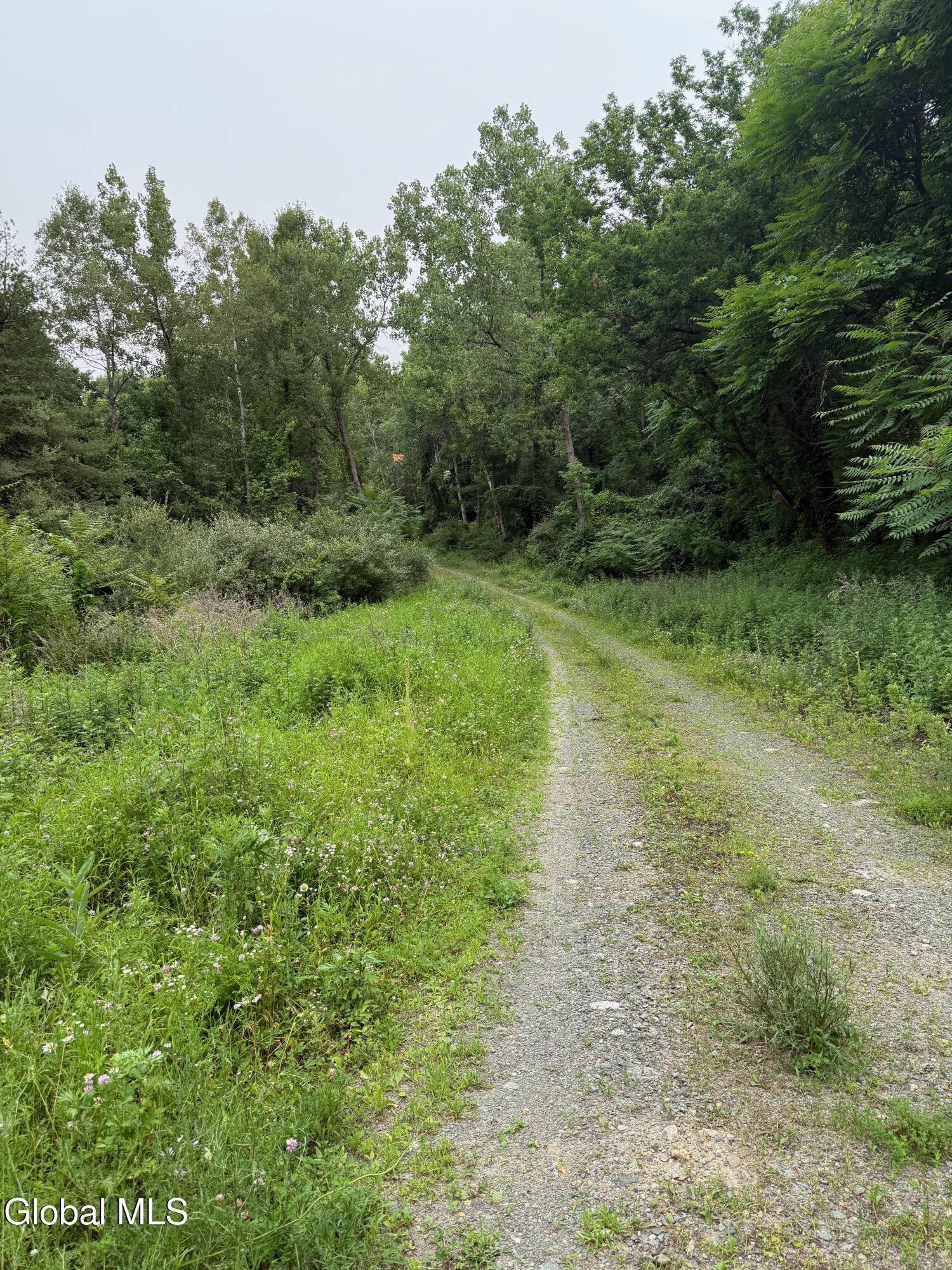 48 Spring Landing Boulevard Wynantskill NY 12198