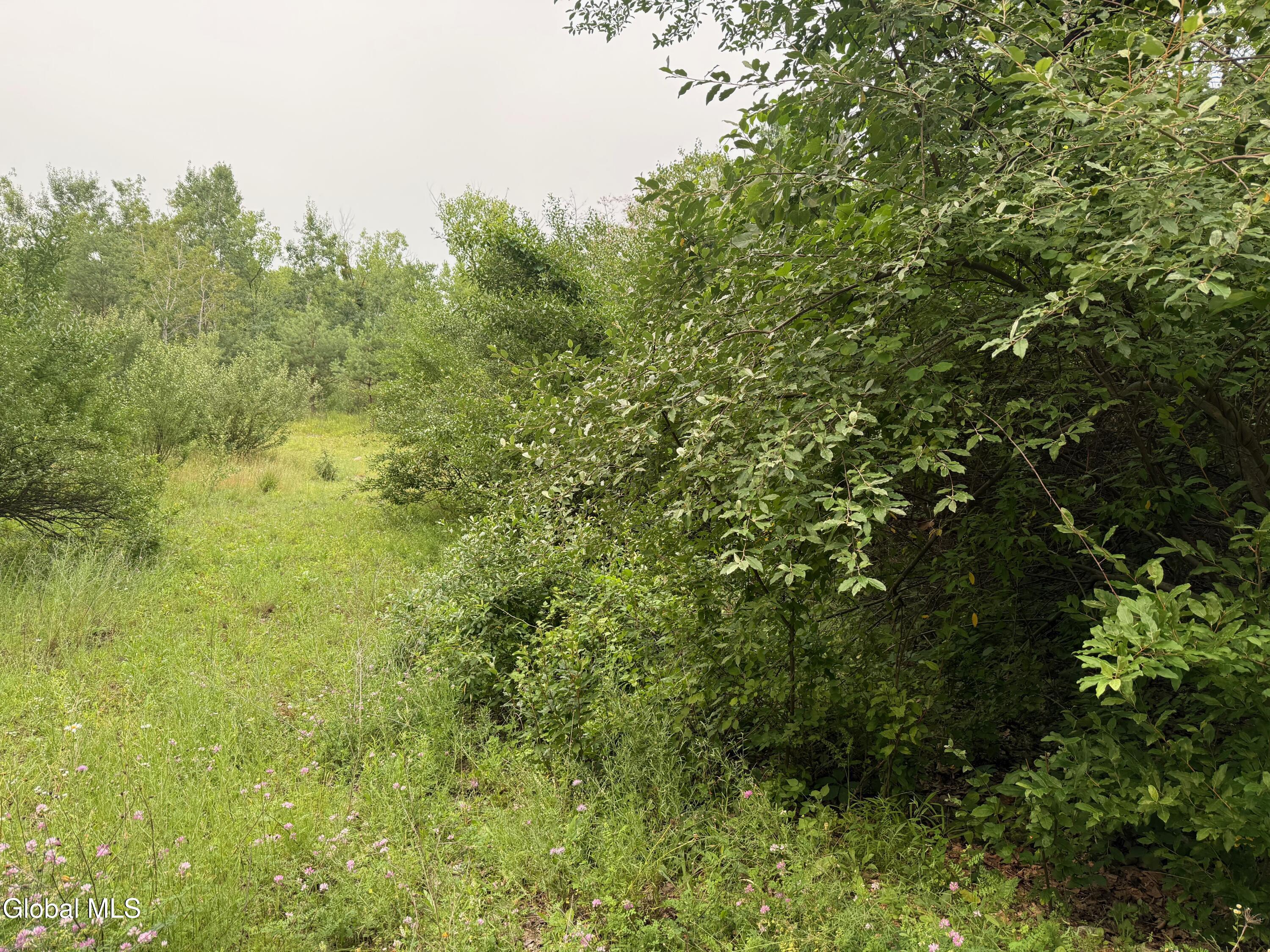 48 Spring Landing Boulevard Wynantskill NY 12198