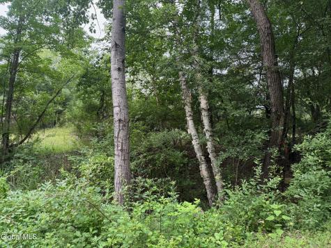 48 Spring Landing Boulevard Wynantskill NY 12198