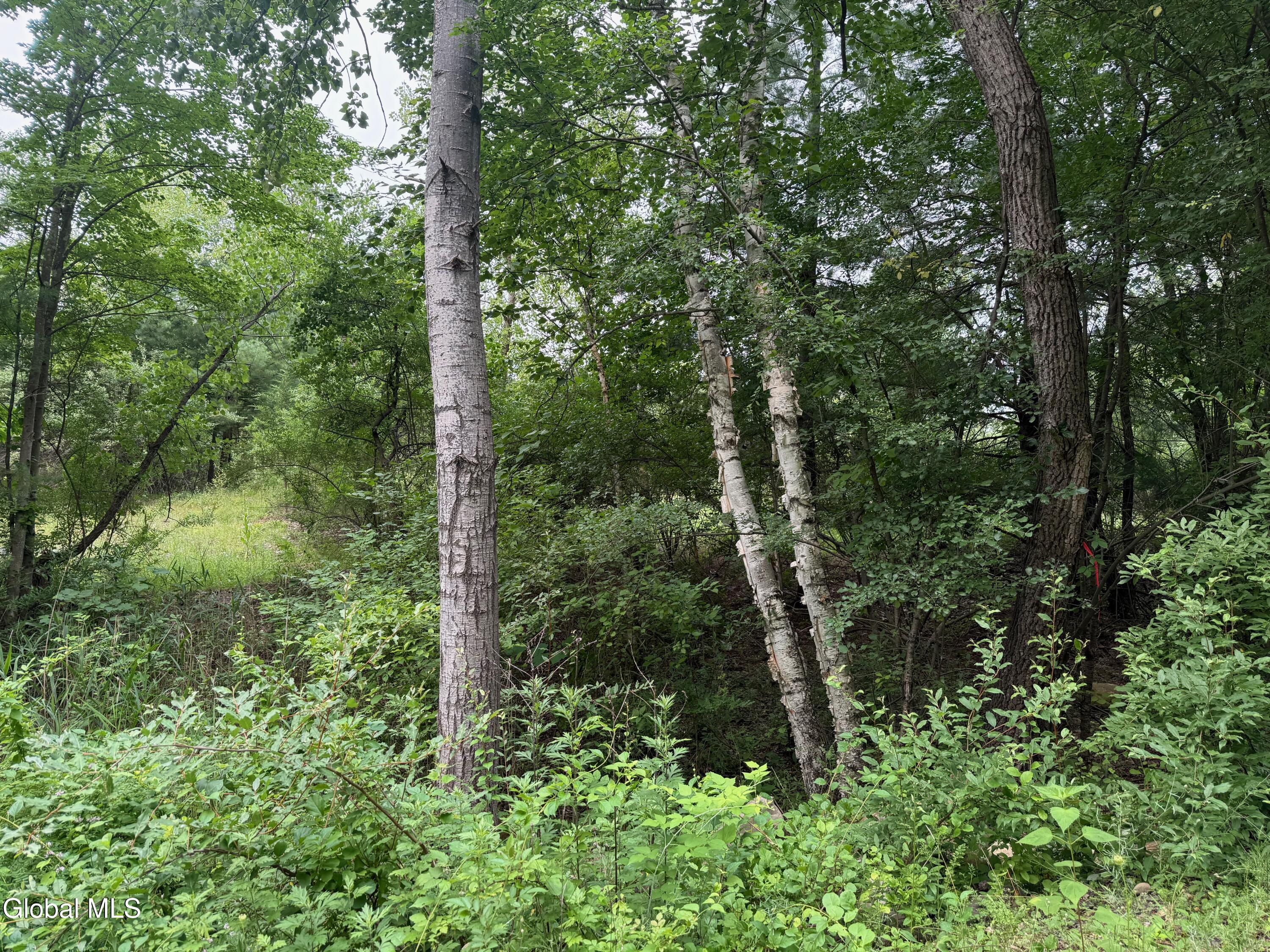 48 Spring Landing Boulevard Wynantskill NY 12198