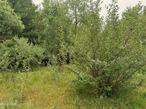 48 Spring Landing Boulevard Wynantskill NY 12198