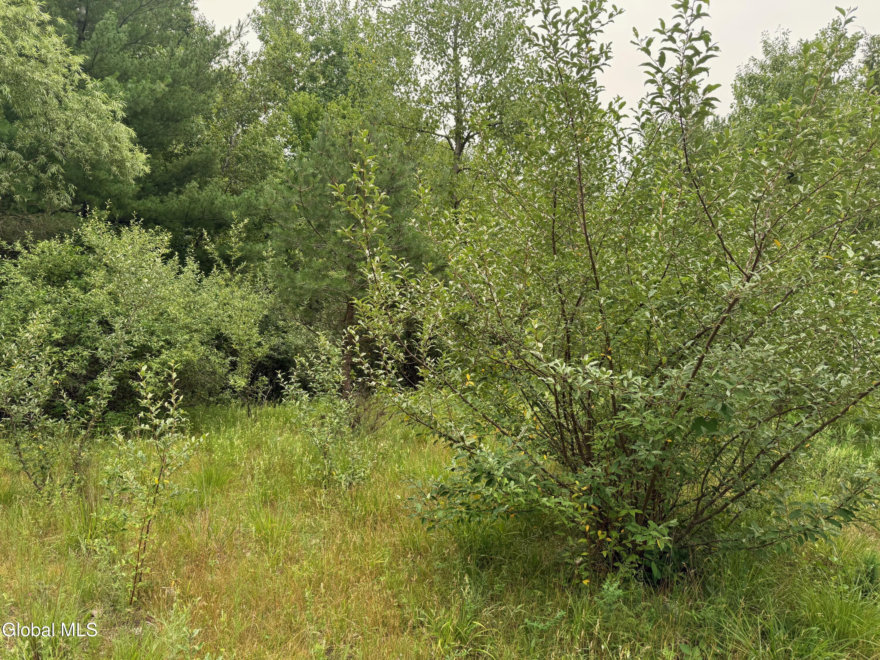 48 Spring Landing Boulevard Wynantskill NY 12198