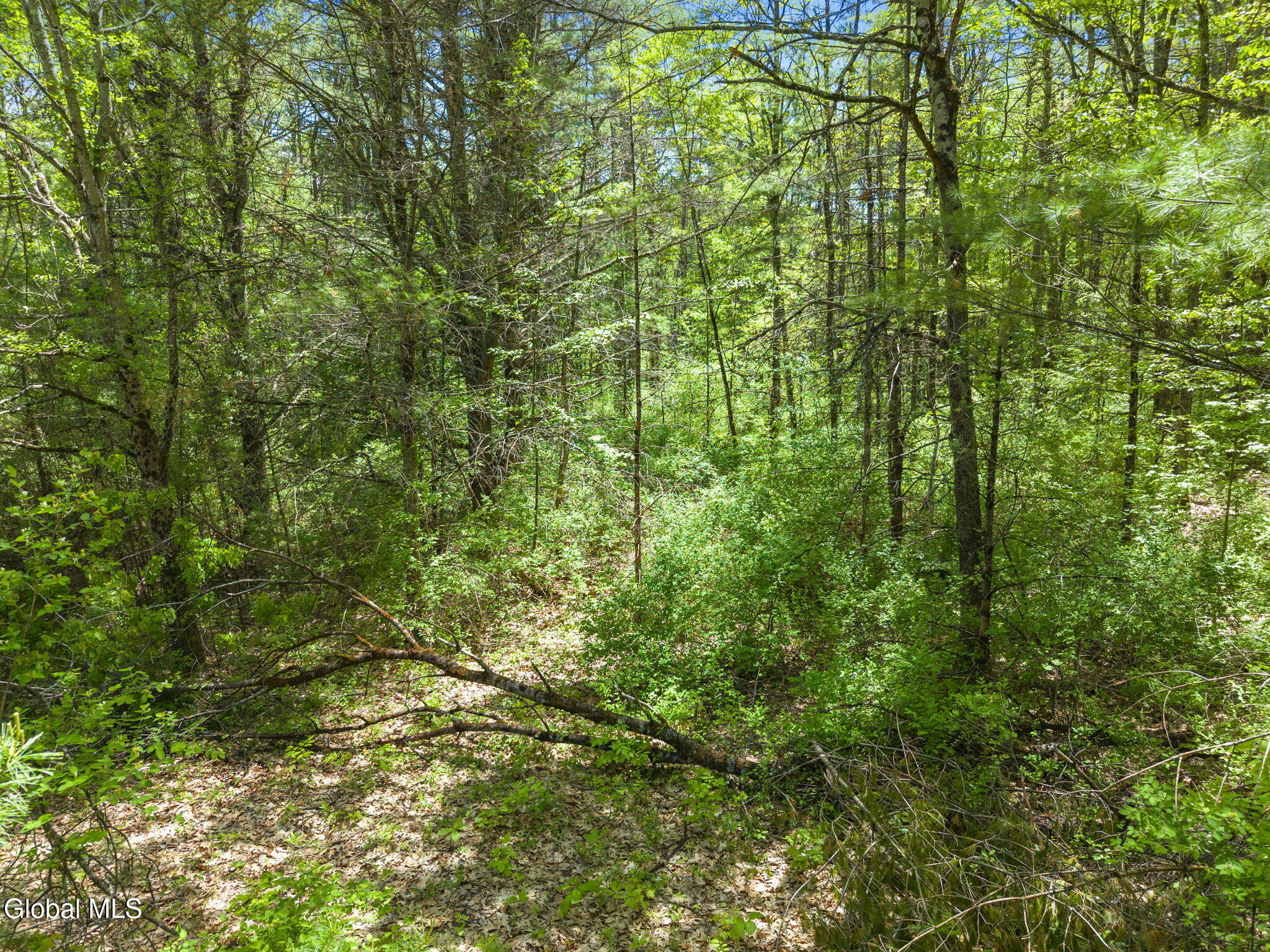 L 2.11, L6 State Highway 30a Gloversville NY 12078