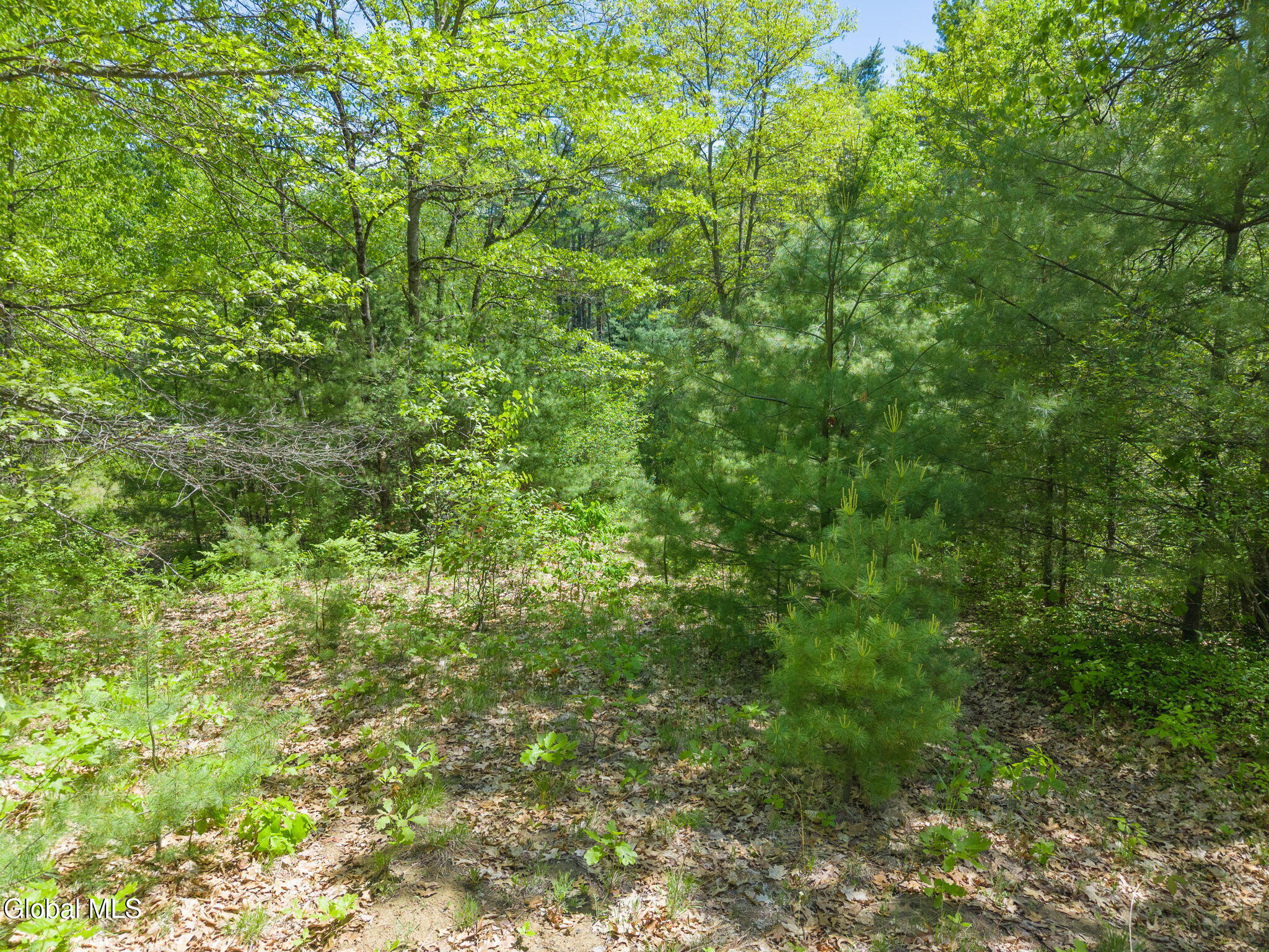 L 2.11, L6 State Highway 30a Gloversville NY 12078