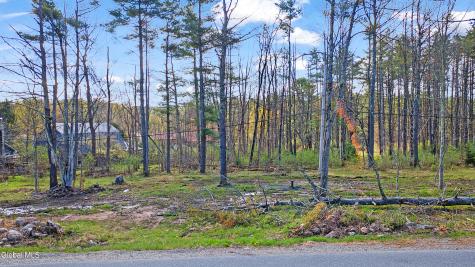10 Squashville Road Greenfield Center NY 12833