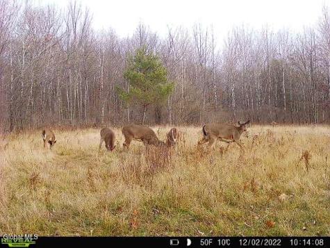 181 Gray Road Altamont NY 12009