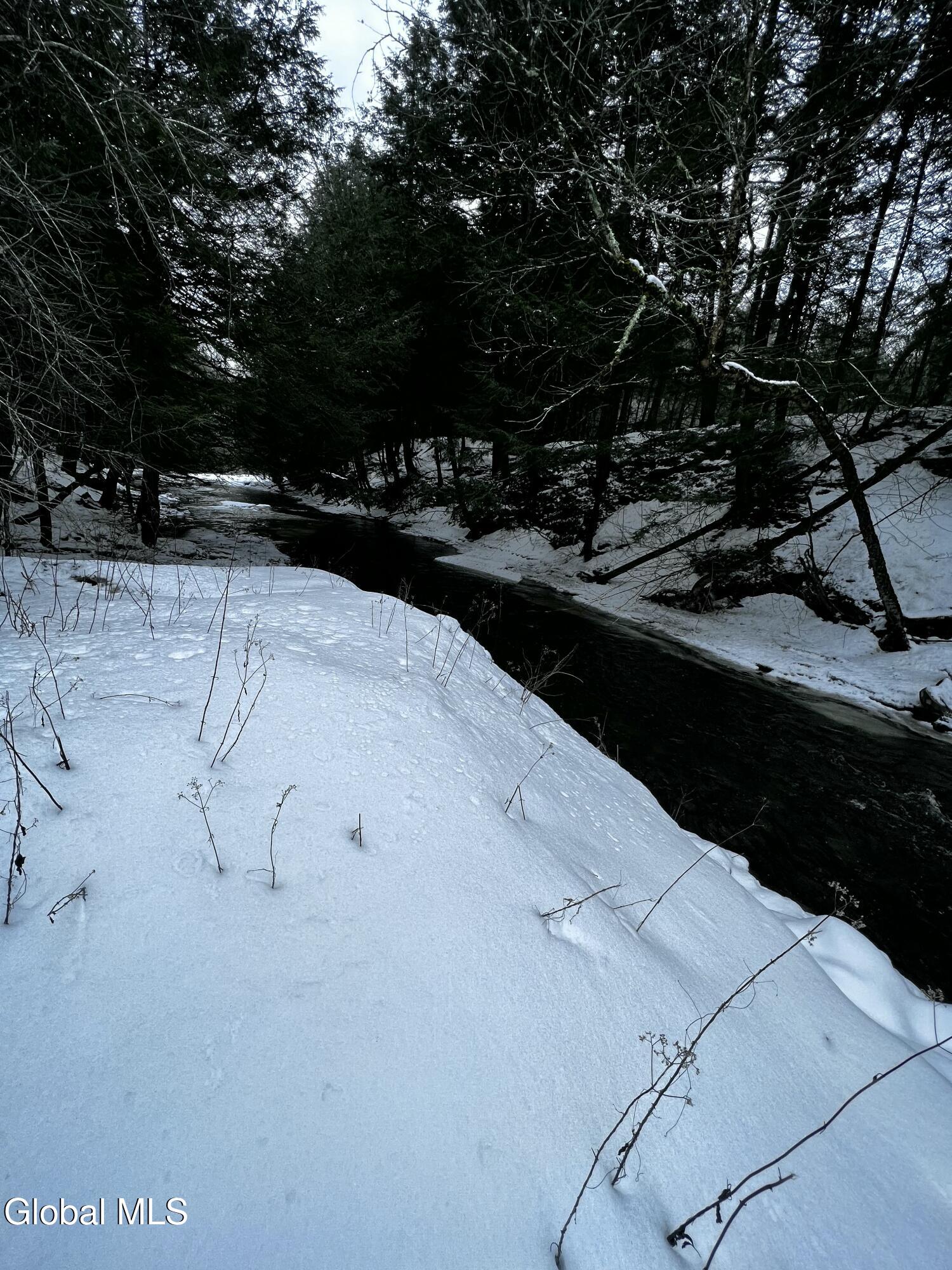 181 Gray Road Altamont NY 12009
