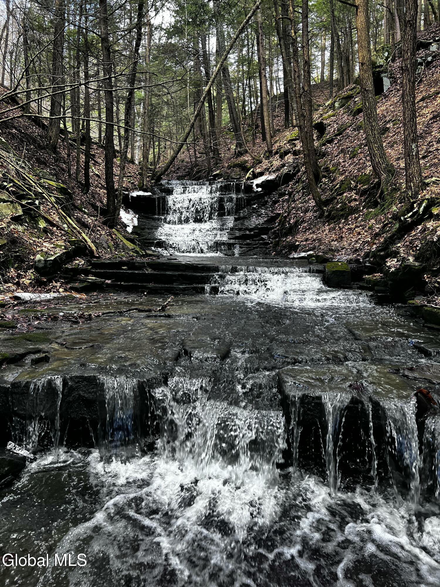 181 Gray Road Altamont NY 12009
