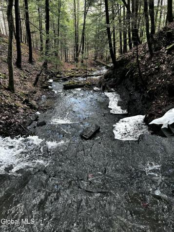 181 Gray Road Altamont NY 12009