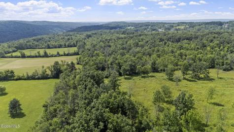 181 Gray Road Altamont NY 12009
