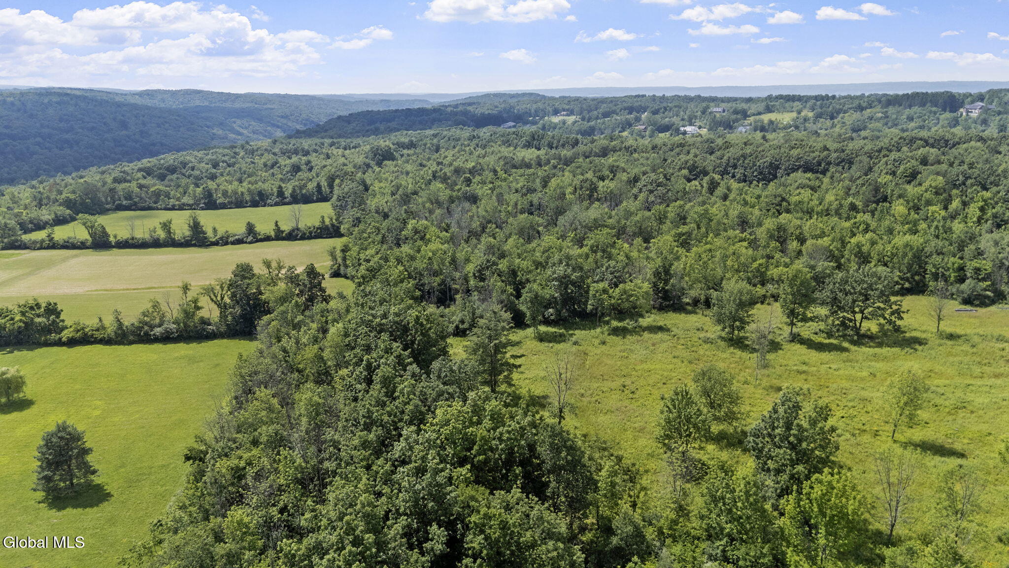 181 Gray Road Altamont NY 12009