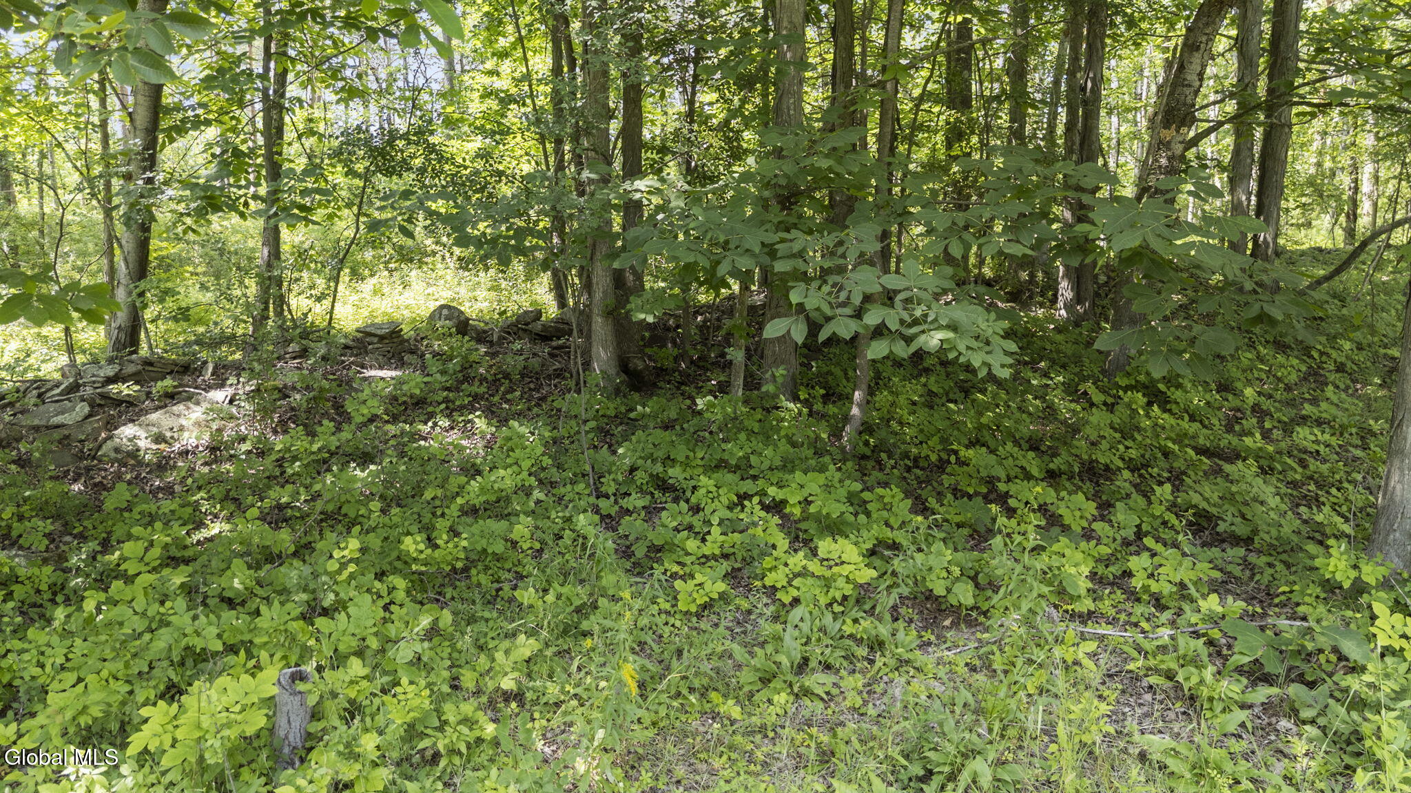 181 Gray Road Altamont NY 12009