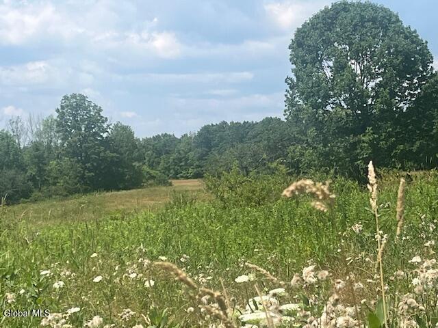 270 Clove Road Castleton On Hudson NY 12033
