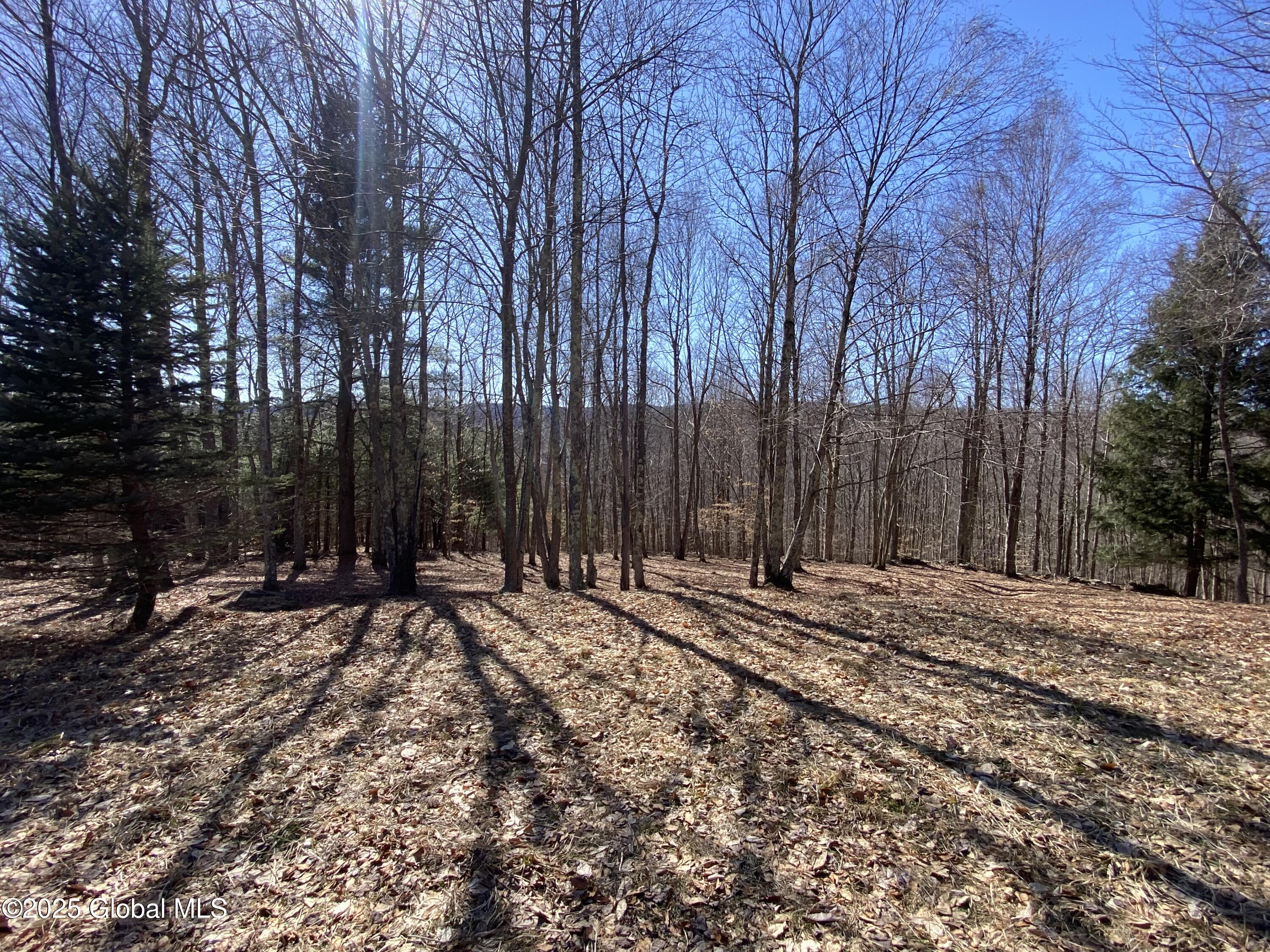 L22.2 Alder Pond Road Andes NY 13740