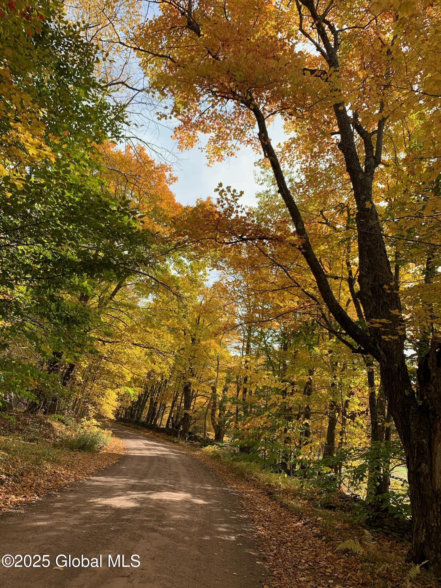 L22.2 Alder Pond Road Andes NY 13740