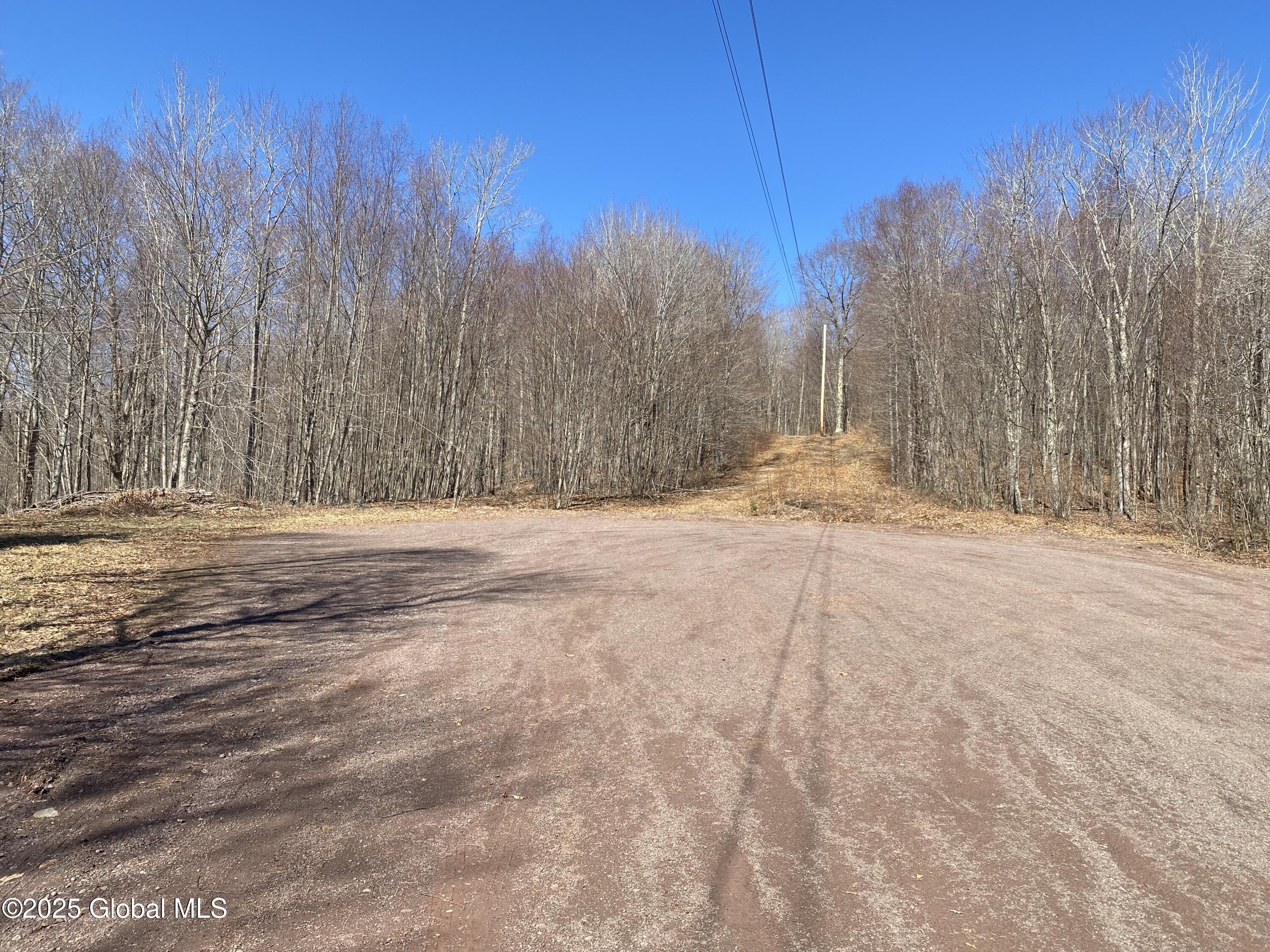 L22.2 Alder Pond Road Andes NY 13740