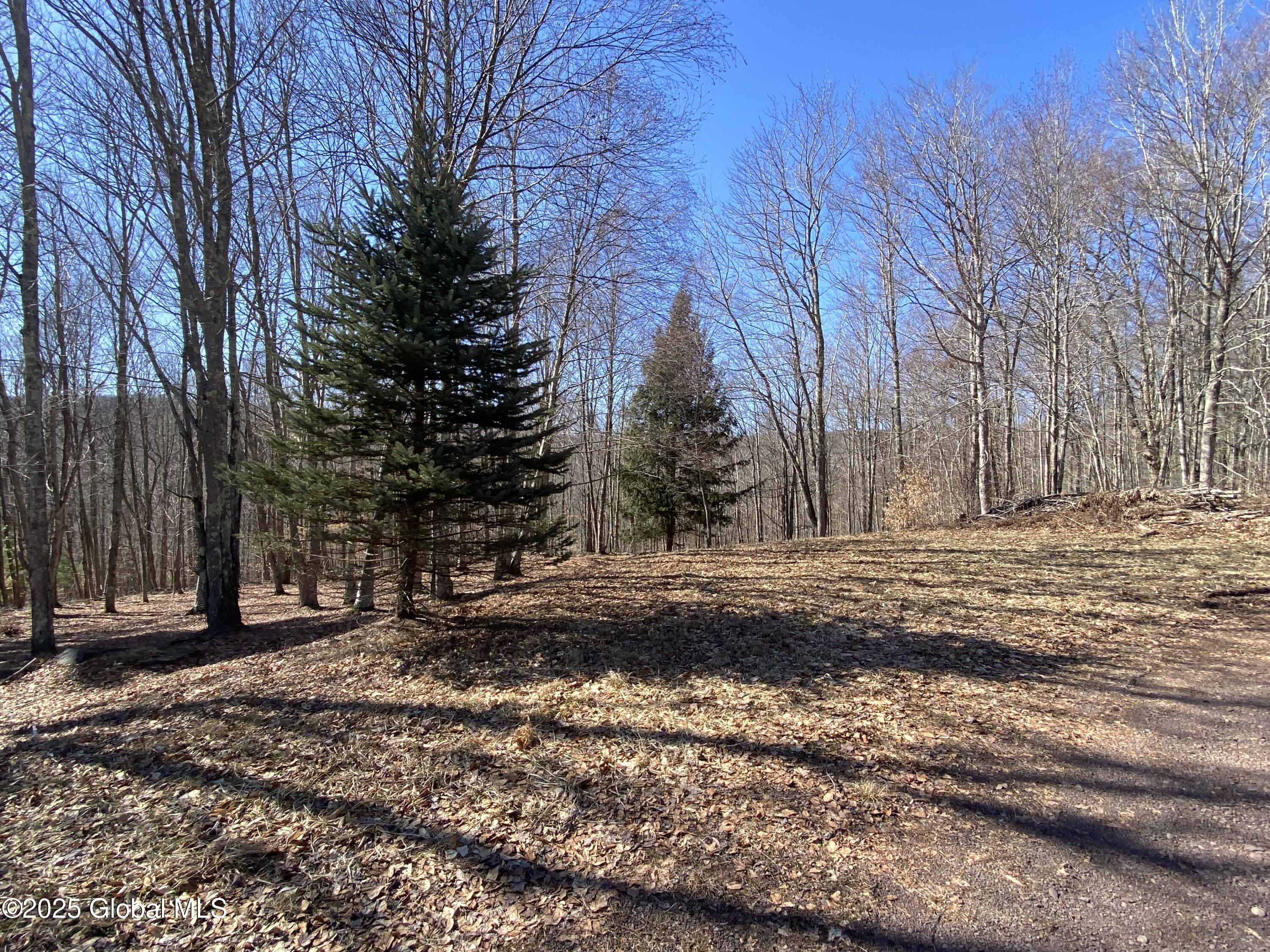 L22.2 Alder Pond Road Andes NY 13740