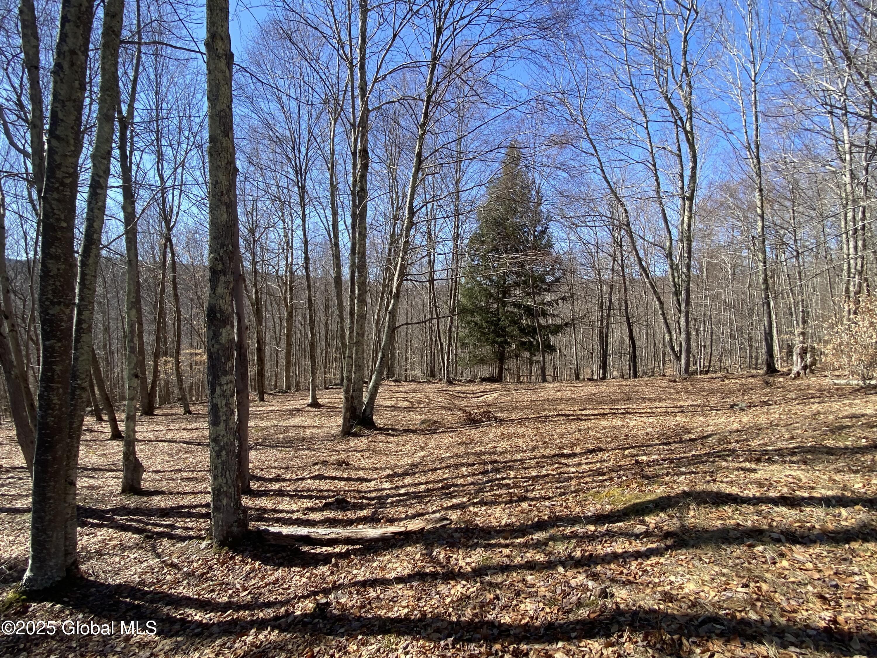 L22.2 Alder Pond Road Andes NY 13740