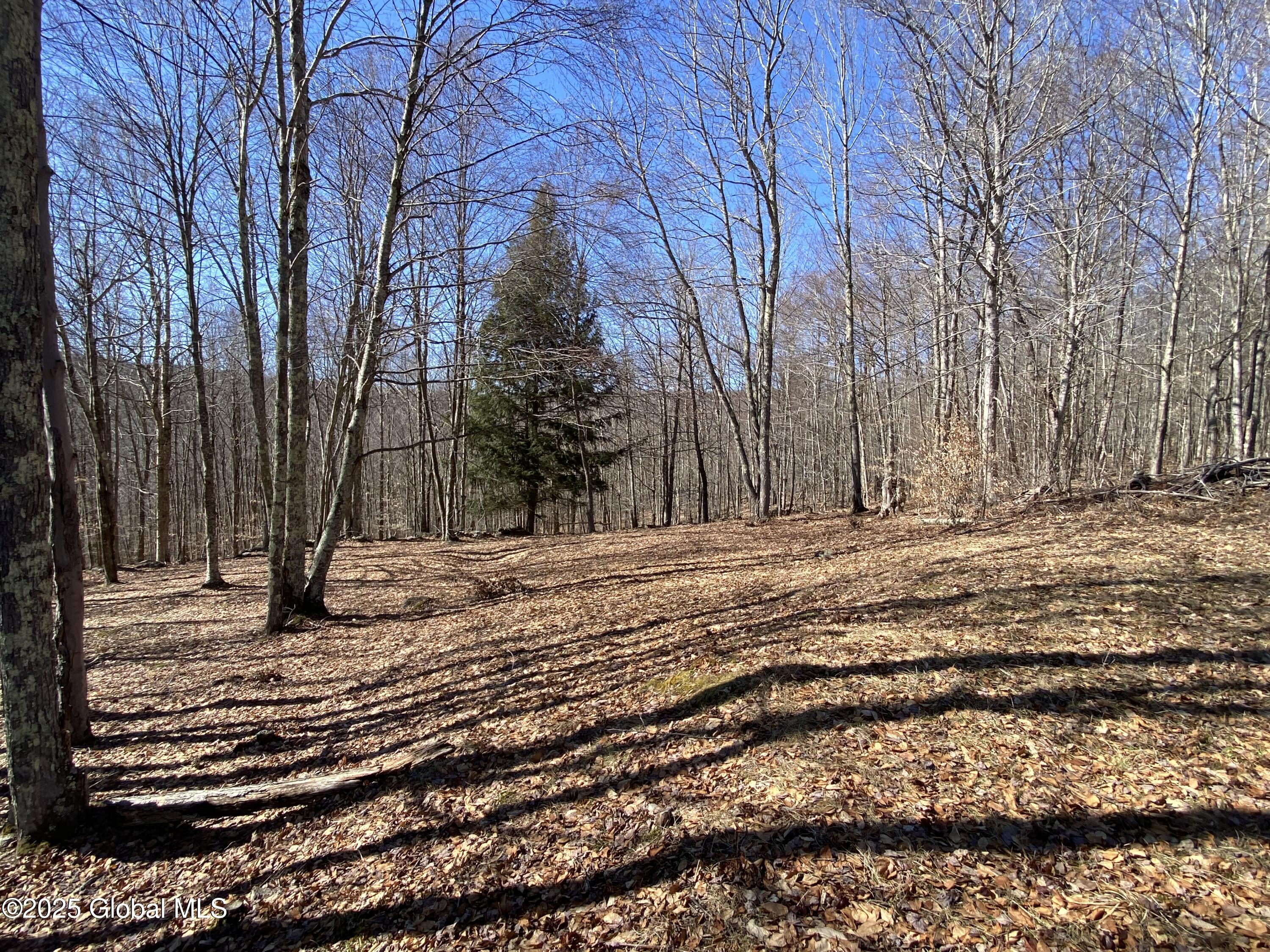 L22.2 Alder Pond Road Andes NY 13740