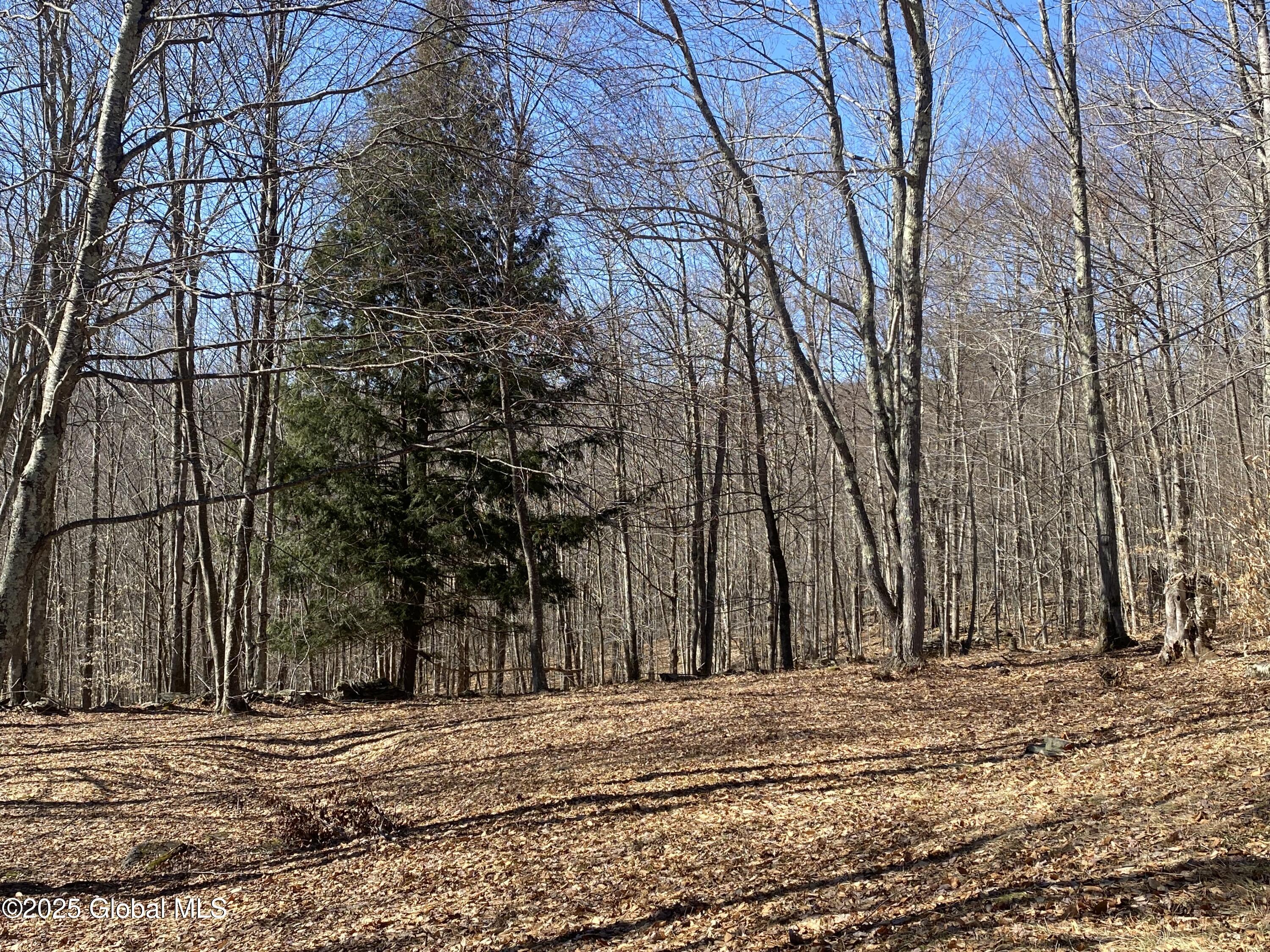 L22.2 Alder Pond Road Andes NY 13740