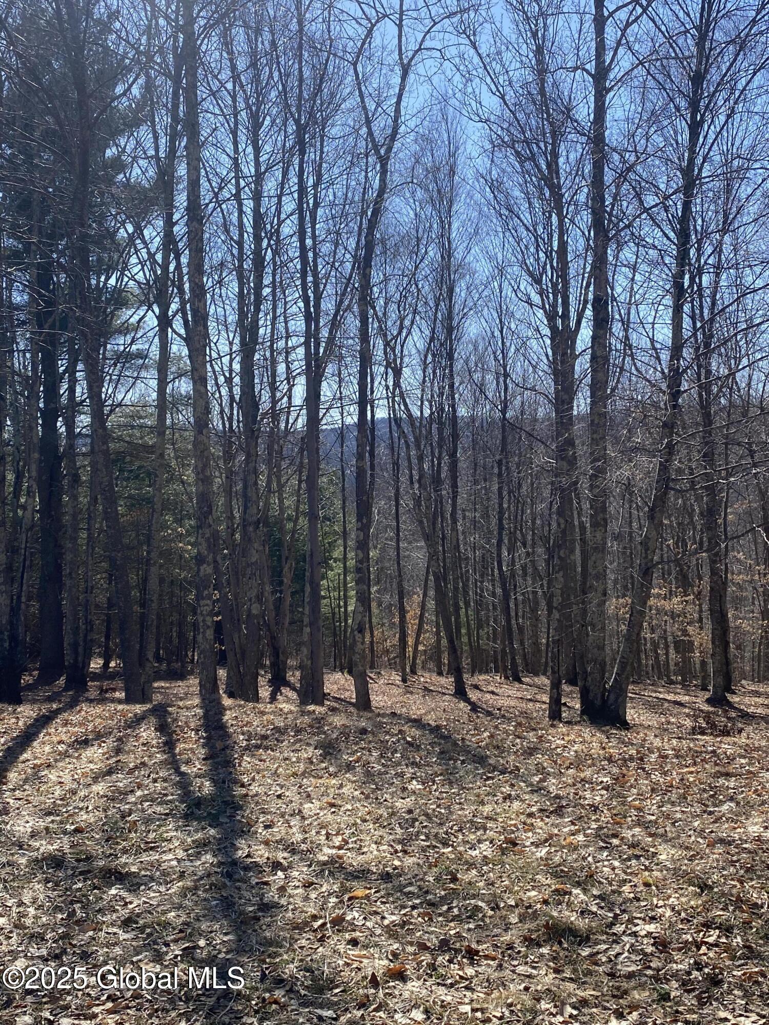 L22.2 Alder Pond Road Andes NY 13740