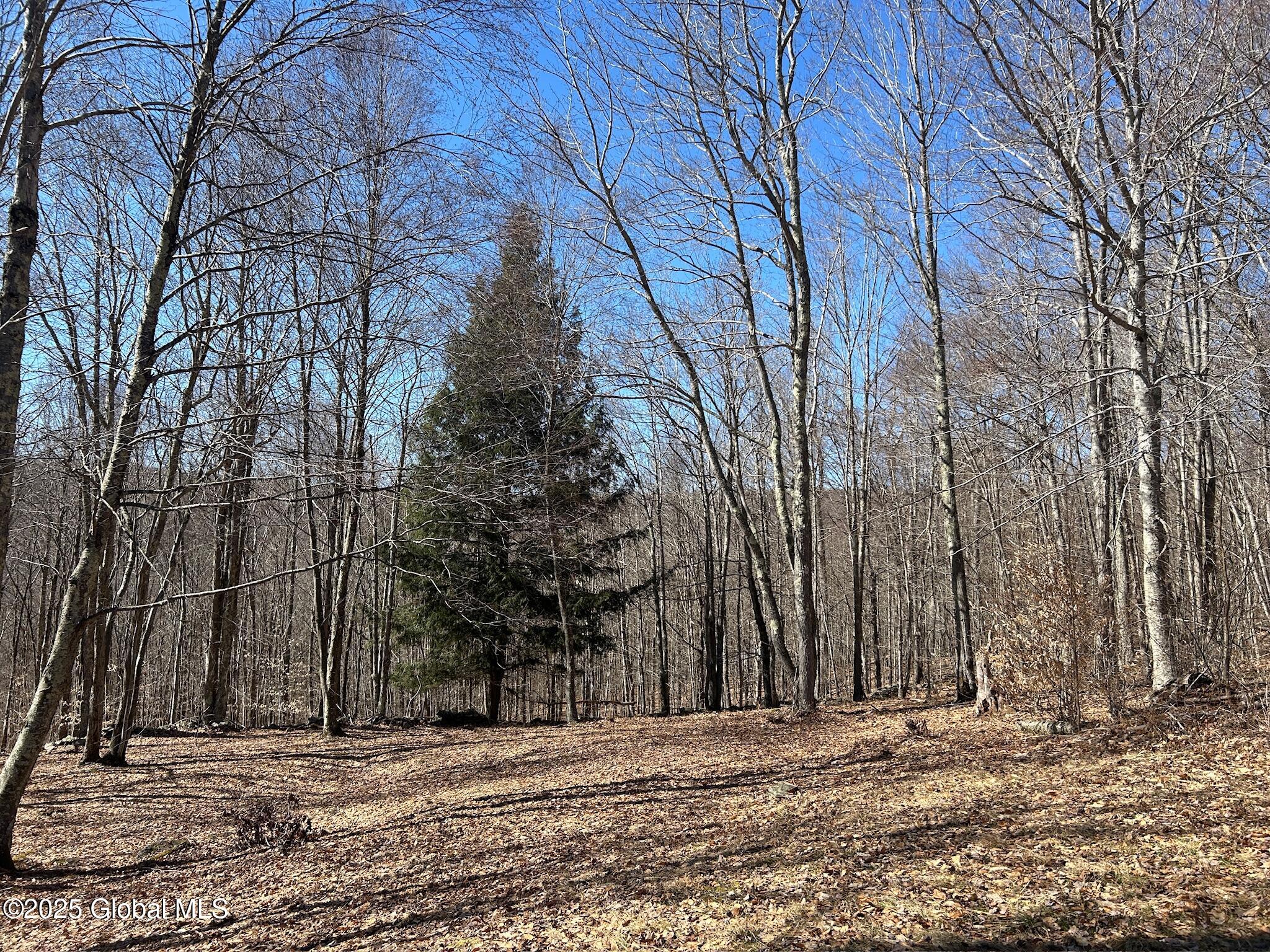 L22.2 Alder Pond Road Andes NY 13740