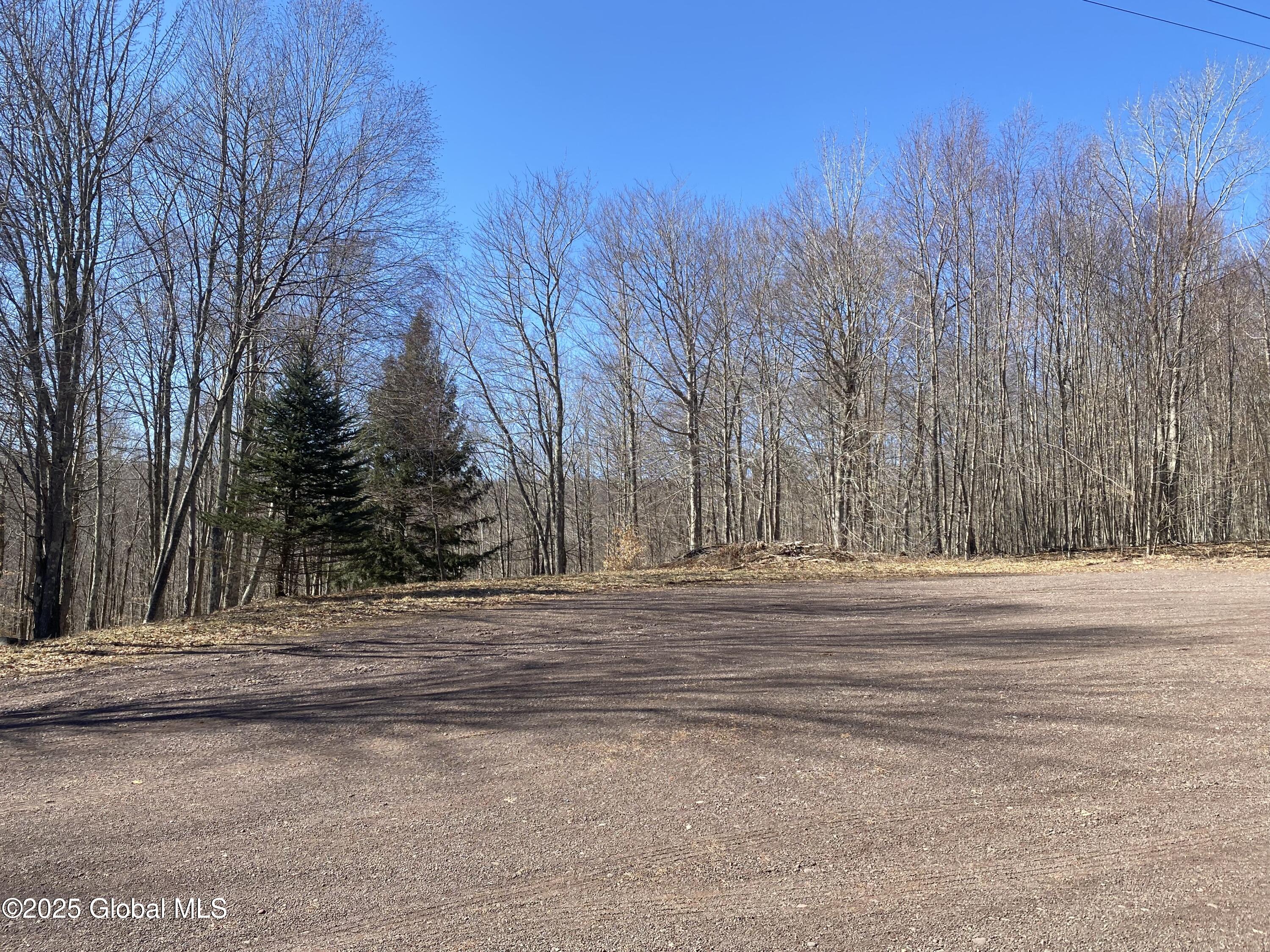 L22.2 Alder Pond Road Andes NY 13740